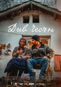 FIlm poster of Wild Garlic. An old lady sitting with a younger man in front of a house, while she shows him a picture.